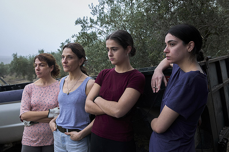 Los Tortuga, el nuevo largometraje de Belén Funes