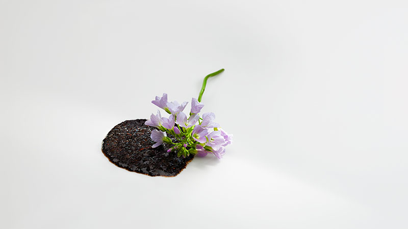 Mugaritz inaugura su nueva temporada cargada de creatividad