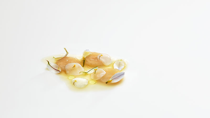 Mugaritz inaugura su nueva temporada cargada de creatividad